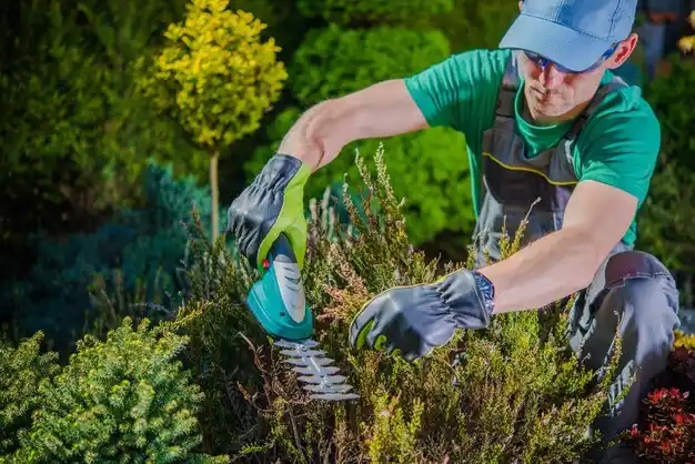landscaping services Sands Point